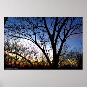 Póster Por do sol de novembro de minha janela