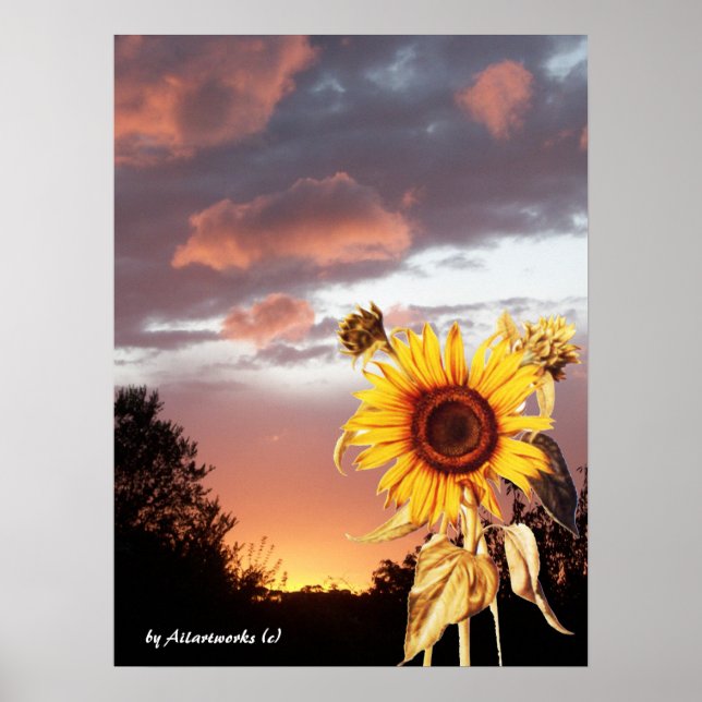 POSTER PÔR DO SOL DE VERÃO COM GIRASSOL E ROSA (Frente)