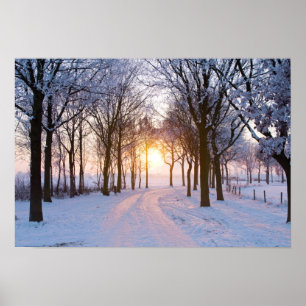 Poster Por do sol do inverno