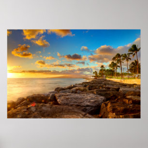Póster Por do sol do oceano sobre as rochas e a palma