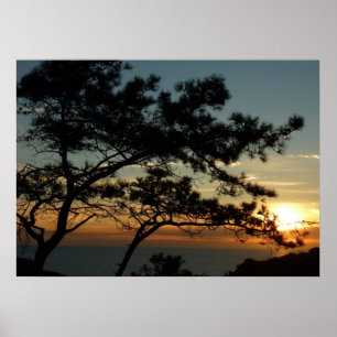 Poster Por do sol do pinho de Torrey mim paisagem de