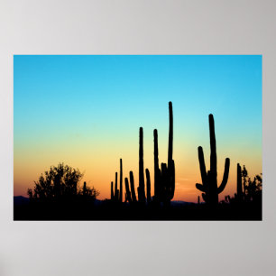 Póster Por do sol do Saguaro