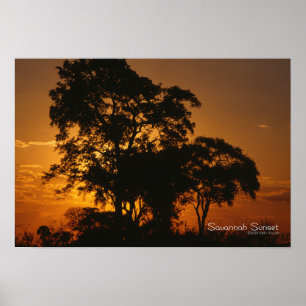Poster Por do sol do savana
