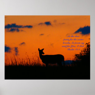 Póster Por do sol dos cervos