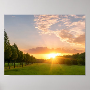 Poster Pôr do Sol Dourado Sobre Campo Verde Com Avenida d