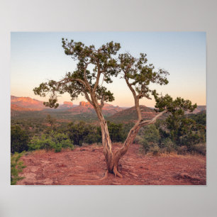 Poster Pôr do sol em Lovers Knoll em Sedona