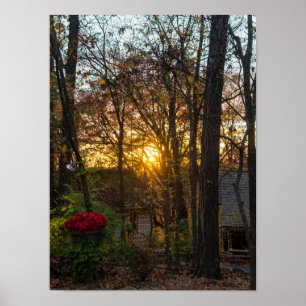 Póster Pôr do sol em Sdc Woods
