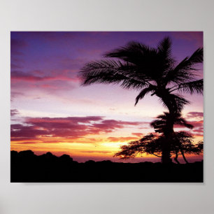 Póster Por do sol havaiano