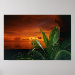 Poster Por do sol, ilha de Anna Maria