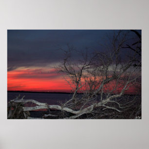 Póster Por do sol inoperante da árvore, S Cyr
