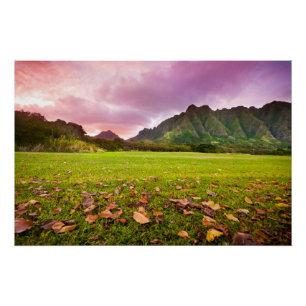 Póster Por do sol jurássico