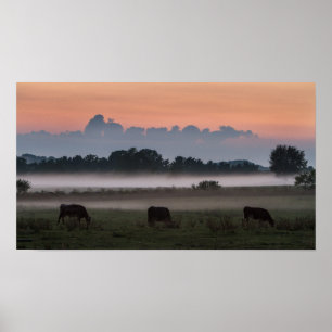 Póster Por do sol MOO-chigan