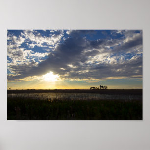 Póster Por do sol na conserva da pradaria de Kissimmee,