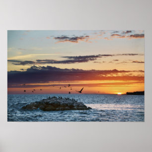 Poster Pôr do sol na Rocha do Pelicano, Ilha Dauphin, Ala