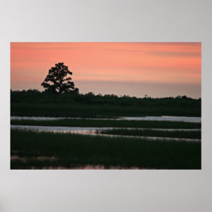 Poster Por do sol nos pantanais