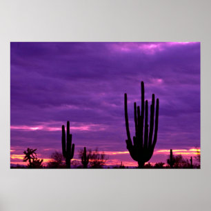 Póster Por do sol, Scottsdale, arizona