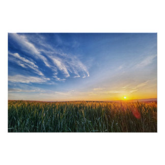 Póster Pôr do sol sobre um campo