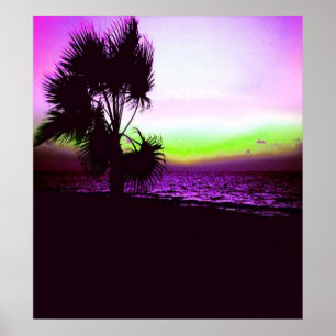 Póster Por do sol tropical