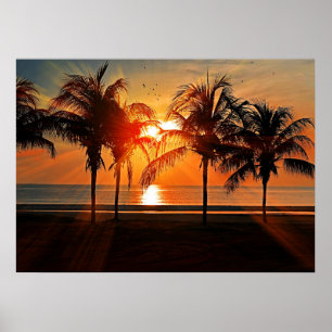 Poster Pôr do sol tropical