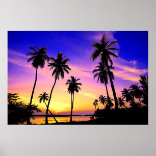 Póster Por do sol tropical da ilha sobre Sri Lanka