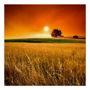 Póster Por do sol vermelho-sangue