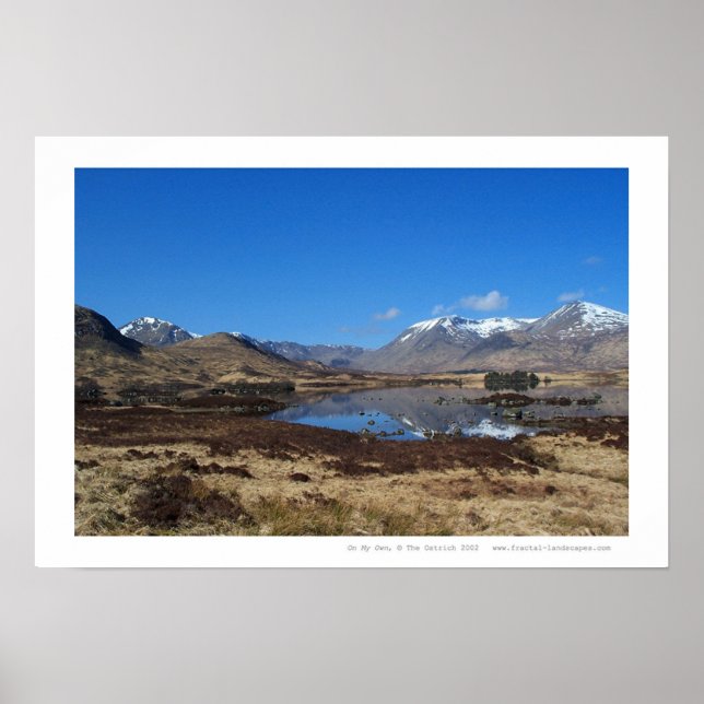 Póster Por Minha Conta (Frente)