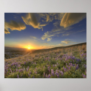 Poster Pôr o sol sobre as Montanhas Bitterroot e o vasto