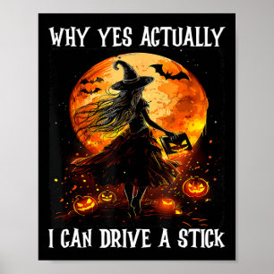 Poster Por Que Sim, Eu Posso Dirigir Uma Bruxa De Uma Mul