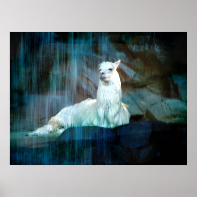 Poster Por trás das cataratas (Frente)