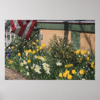 Póster Porch Americano