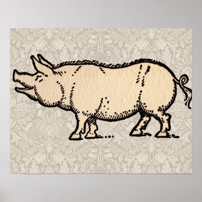 Póster Porco Antigo Porquinho Fofo Vintage (Frente)