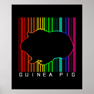 Poster Porco Colorido  Fora da Guiné  Animais de estima