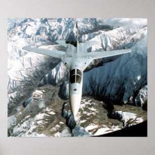 Póster Porco-da-terra F-111