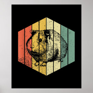 Poster Porco-guineal   Suíno-guincho