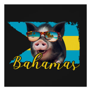 Póster Porcos Nadadores das Bahamas - Aventura na Praia d