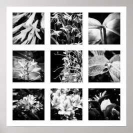 Poster Pormenores da série Nature - Flores 2