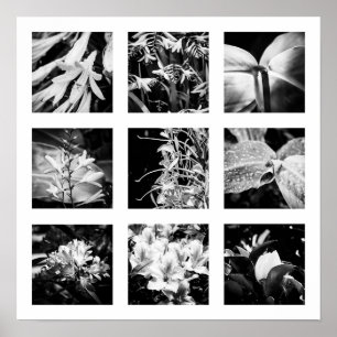 Poster Pormenores da série Nature - Flores 2