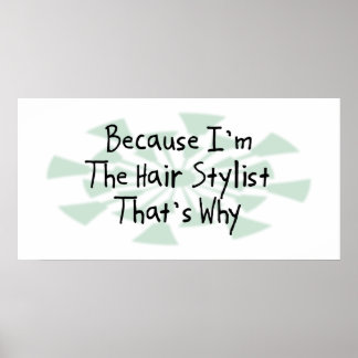 Poster Porque eu sou a Stylist do Cabelo