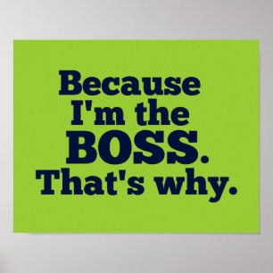 Poster Porque eu sou o chefe, aquele é por que