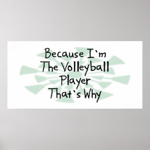 Poster Porque eu sou o jogador de voleibol