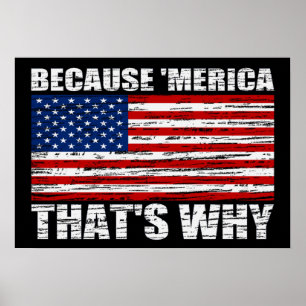 Póster PORQUE 'poster da bandeira de MERICA É POR ISSO