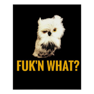 Póster Porra, o quê?