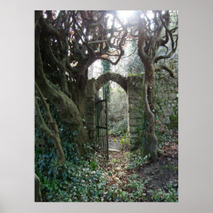 Póster Porta de jardim irlandesa
