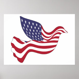 PÓSTER PORTA DE PAZ AMERICANA