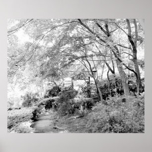 Póster Porta Rústica