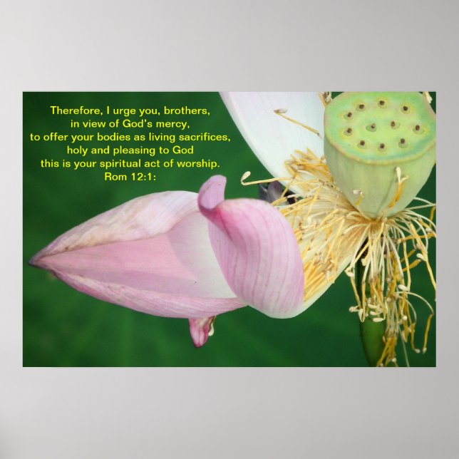 Póster Portanto, peço-vos, irmãos (Frente)