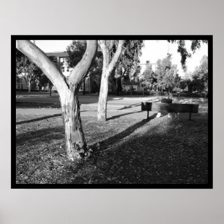 Poster portfólio foto IV nº 5