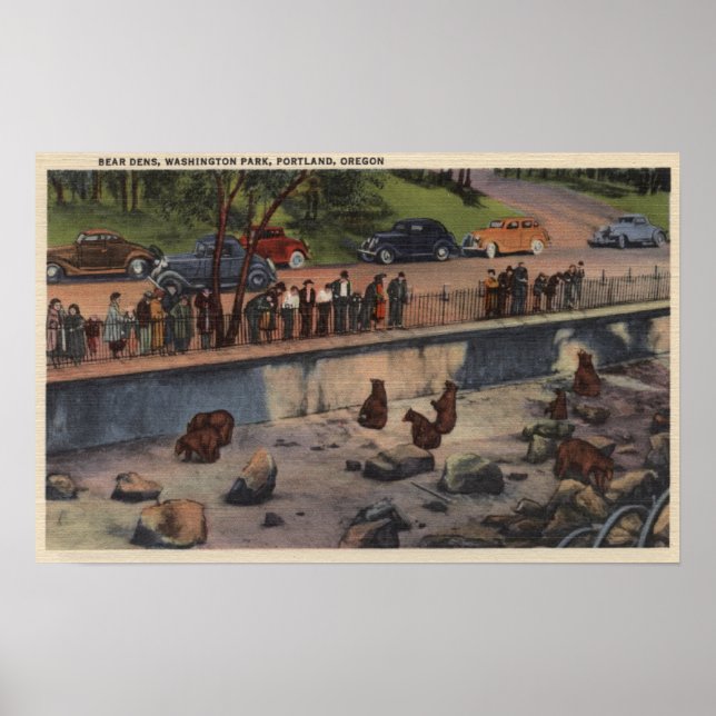 Póster Portland, ORBear Dens no Parque Washington (Frente)
