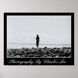 Póster Porto 1 da baía de Elliot