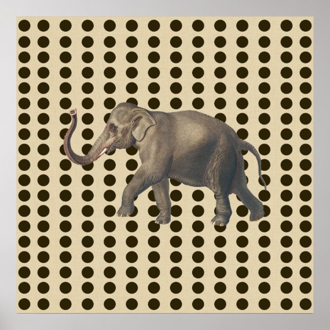 Póster Portos de Especiarias de Chocolate com Elefante (Frente)